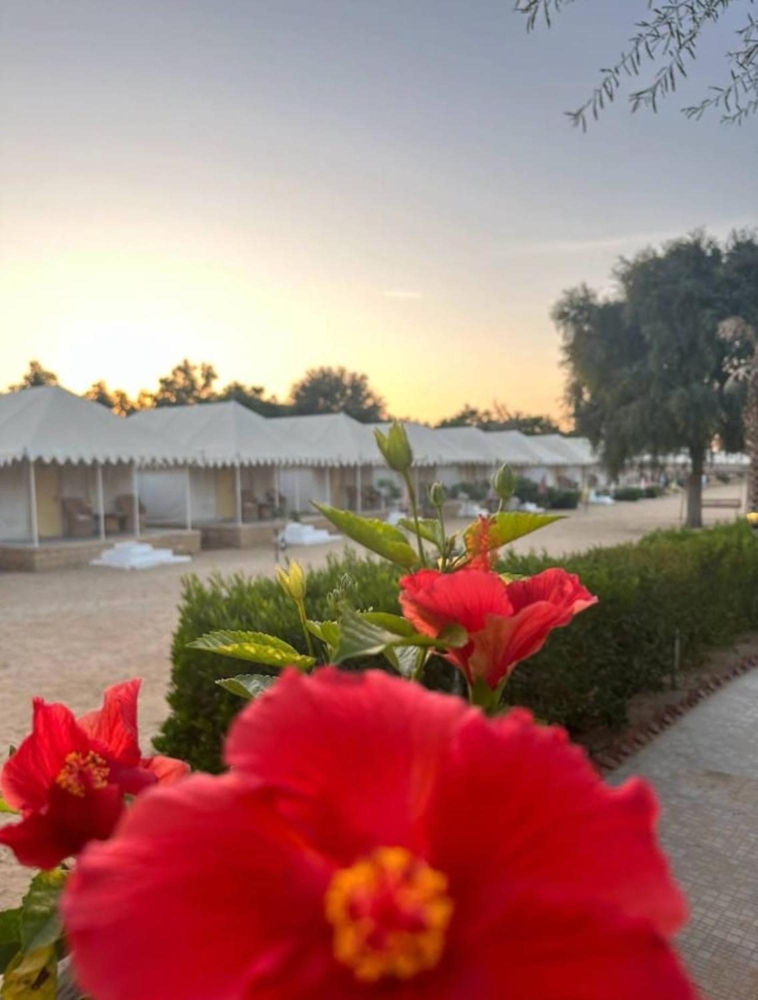 Sam Dunes Desert Luxury Camp & Resort ジャイサルメール エクステリア 写真